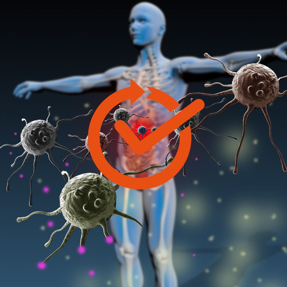 Immunsystem