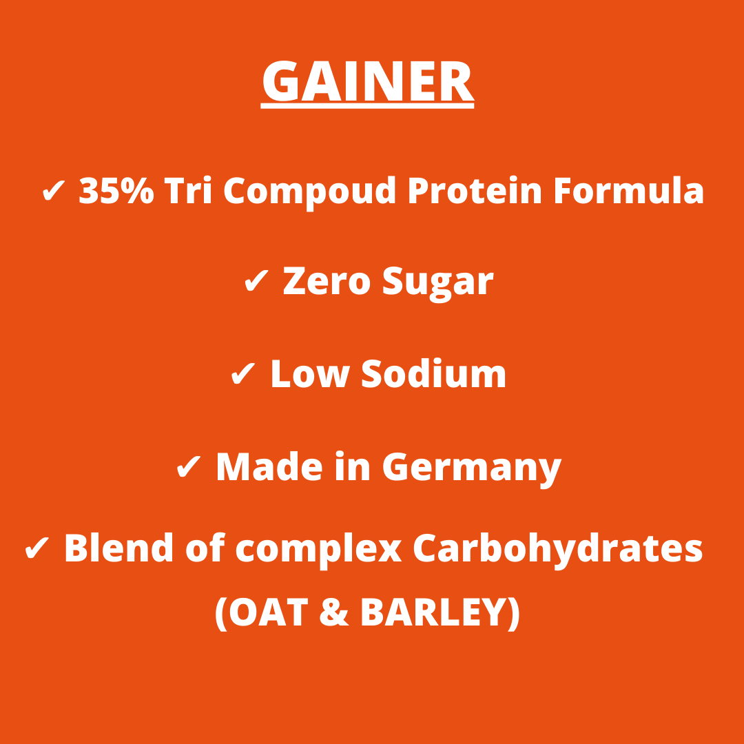 GAINER 1000g - concentrato a base di carboidrati, proteine, vitamine e minerali